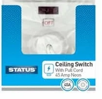 Status 45Amp Ceiling Switch + Neon CDU 1s