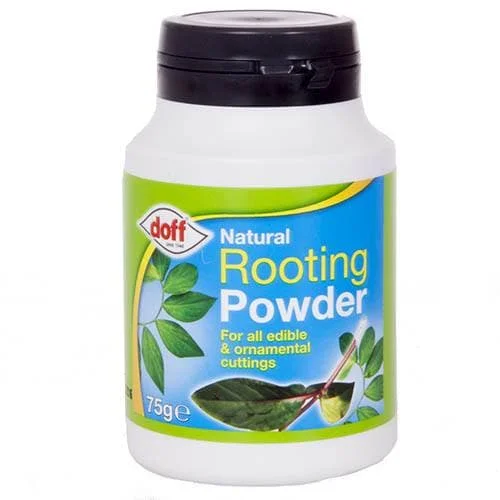 Doff Natural Rooting Powder 24 x 75g