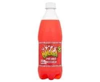 Bigga Fruit Punch 12 x 600ml