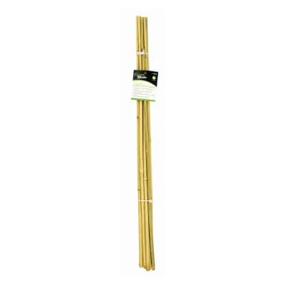 Green Blade Bamboo Plant Support 60cm 10s
