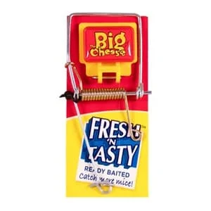 The Big Cheese - Fresh Baited Mouse Trap 30s