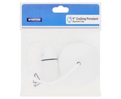 Status 9" Ceiling Pendant 1s